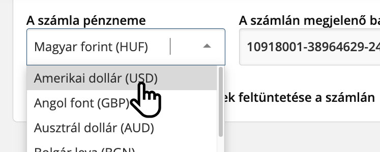 Számlák, szállítólevelek és más bizonylatok euróban, dollárban és más devizában